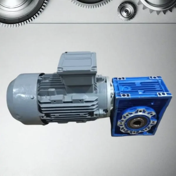 Buy Motovario 2 HP Hollow Gear Motor (Imported)